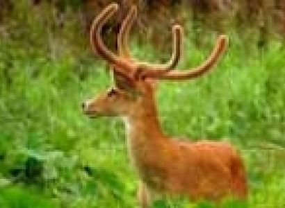 Imphal Tour Package