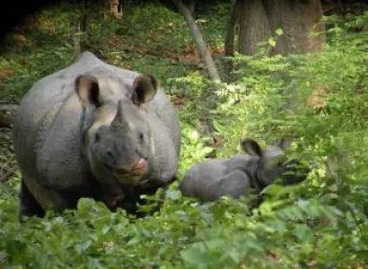 Dudhwa National Park Tour