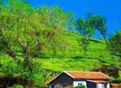 Bandipur and Ooty Tour