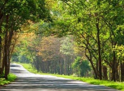 Beautiful Shillong with Guwahati Tour