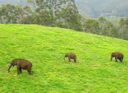 Kerala with Munnar Tour