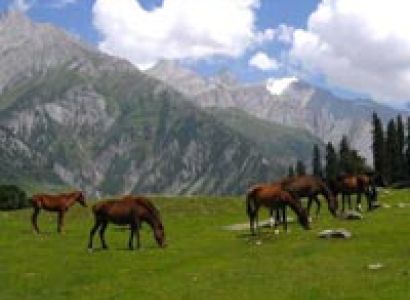 Srinagar Package Tour