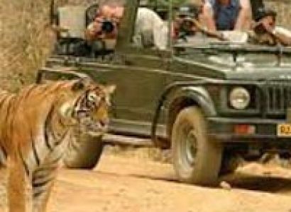 Royal Rajasthan Tour with Tiger Safari