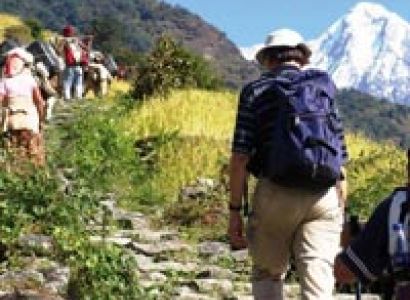 Trekking In Pahalgam (8 Nights / 9 Days) Tour