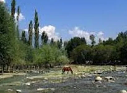 Kashmir Package for a group of 07 Pax