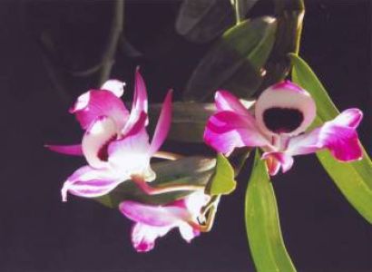 Elation of Winter Kerala Tour with Your Family - 03 Nights / 04 Days