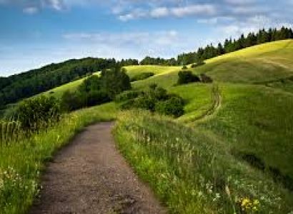 03 Nights 04 Days - Romantic Manthra Packages to Kerala