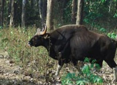 Coastal Konkan (Maharashtra) Tour