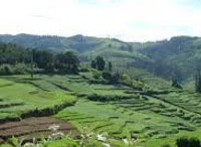 Coimbatore - Ooty - Kodaikanal Tour