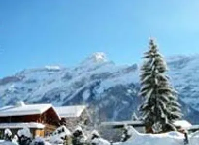 Magnificent Shimla Manali Tour