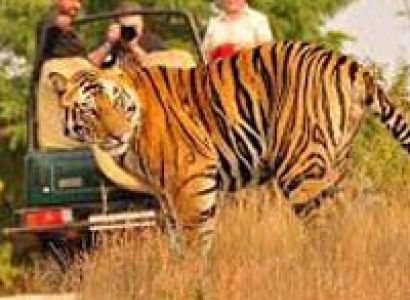 Mesmeric Madhya Pradesh Tour