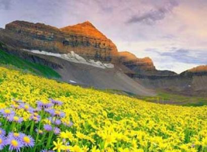 Valley of Flowers Trek Tour