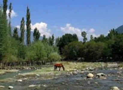 Beauty Of Kashmir Himalaya (7N/8 Days) Tour