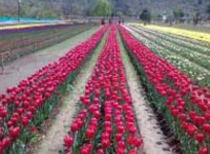 Kashmir holiday Tour Package