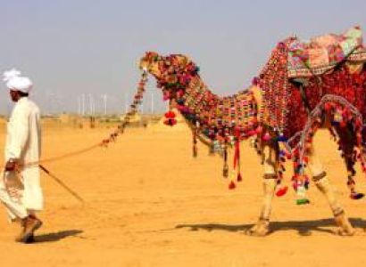 Desert Tour of Jodhpur