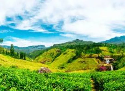 5 Nights With Sri Lanka Tour