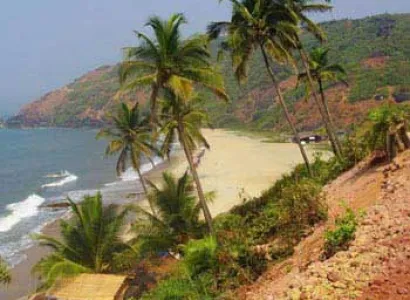 Golden Beaches Of Goa Tour