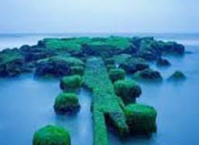 Andaman Package ( Topaz Package)