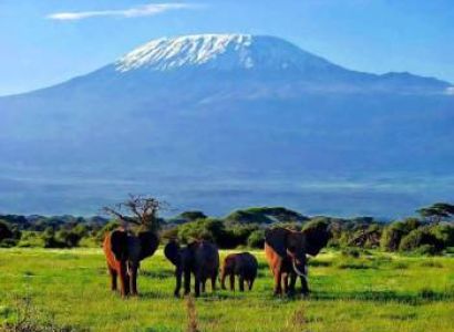 3 Days Amboseli Tour