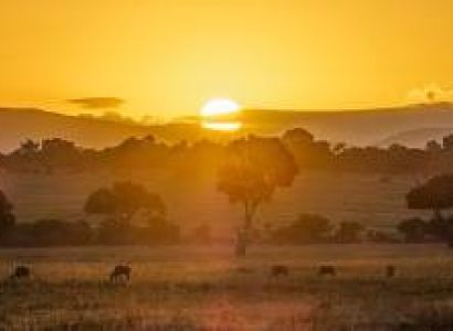 2 Days Masai Mara Tour