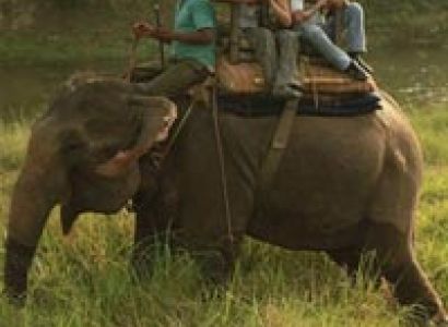 Chitwan Jungle Safari Tour