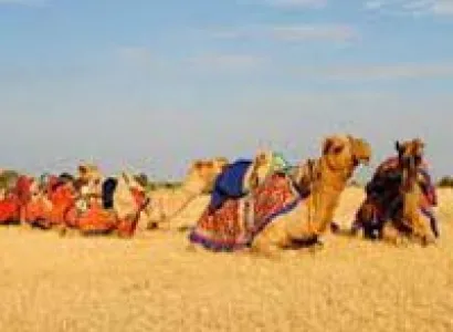 Rann Utsav Gujarat Tour