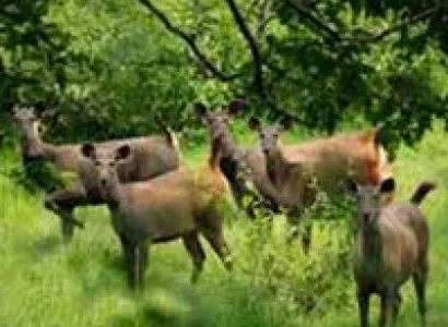 Mauritius Tour Package Nights / 7Days Return Airfare Ex - New Delhi