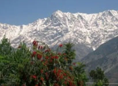 Dhauladhar Round trek Tour
