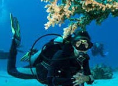 7 Nights 8 Days Andaman Tour