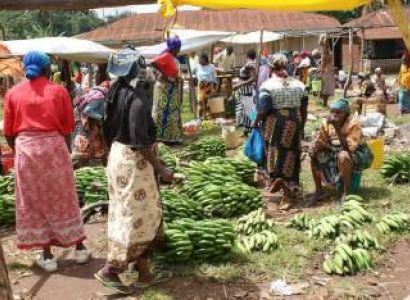 Marangu Cultural Tourism Day Trip