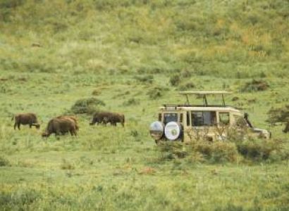 Arusha National Park Day Trip