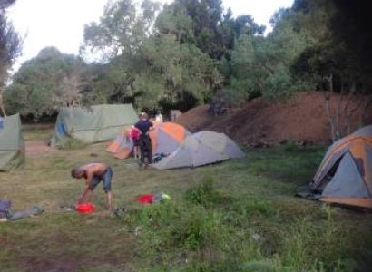 7 Days Mount Kilimanjaro Climbing Rongai Route Tour