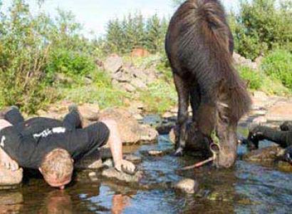 Laxnes Special  Package