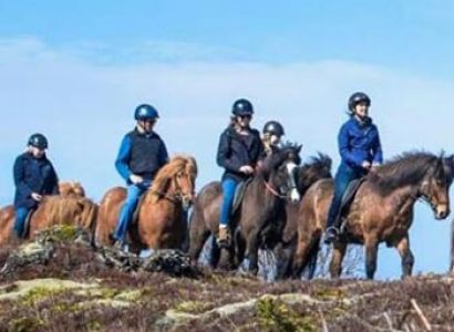 Lava One Day Tour Package