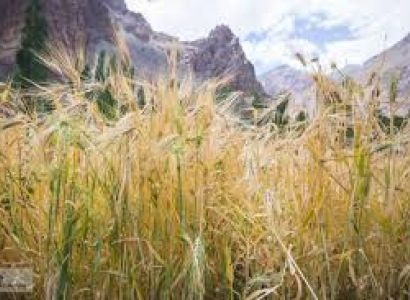 Ladakh Monestry Package