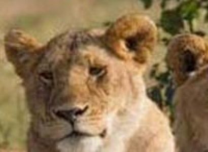 Kutch Kathiyawad Tour