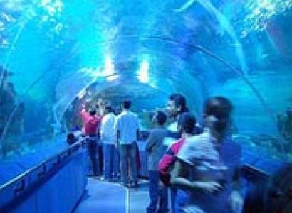 Hong Kong Malaysia Super Saver-6N/7D Tour