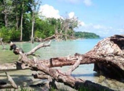 Weekend Package-  6 Days 5 Nights