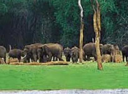 Short Escape to Periyar Tour