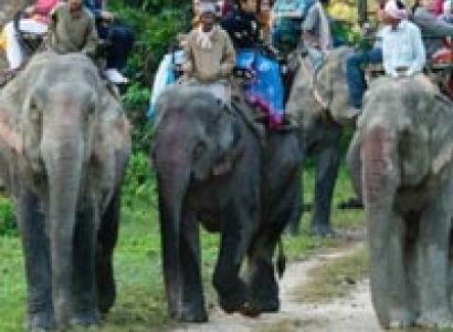 Namdapha National Park Tour