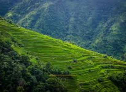 Nagaland Tour 8 Days Tour