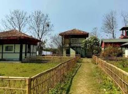 Rhododendron Trek Arunachal Pradesh Tour