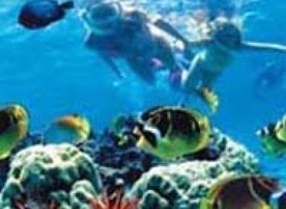 Special Honey Moon Package