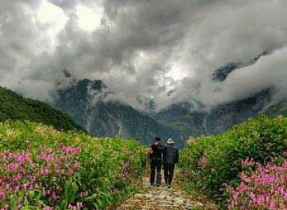 Himalayan Trails - Valley of Flowers Trek Tour
