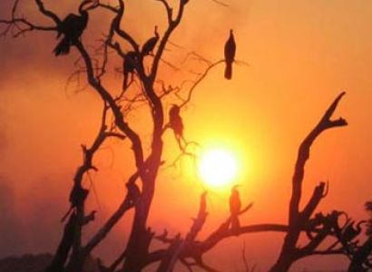 6 Days East Africa Adventure, Kenya and Tanzania Safari Package