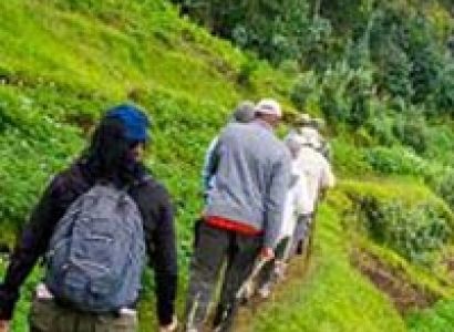 Uganda Gorilla Trek Tour Package