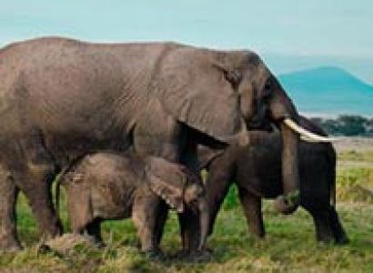 Uganda Adventure Package