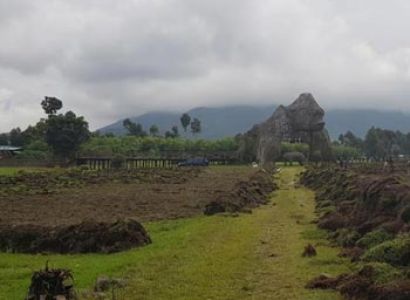 Rwanda Gorilla Safari Plus Night in Kigali Package