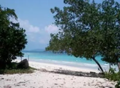 Splendours of Andaman Tour