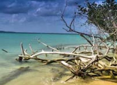 Flavours of Andaman Tour